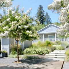 Idyllic + Contemporary Sonoma Valley Retreat