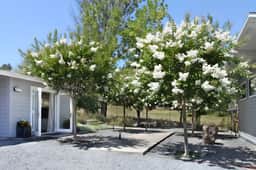 Idyllic + Contemporary Sonoma Valley Retreat - Image 5
