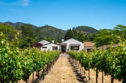 Luxury Vineyard Estate | Walk to Wineries, Pool - Image 3