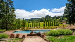 Healdsburg Vineyard Sanctuary - 3 BD, Pool, Views - Image 2
