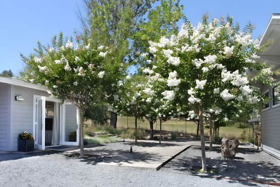 Idyllic + Contemporary Sonoma Valley Retreat - Image 5