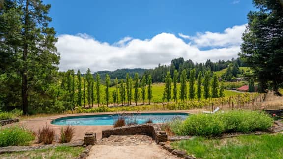 Healdsburg Vineyard Sanctuary - 3 BD, Pool, Views - Image 2